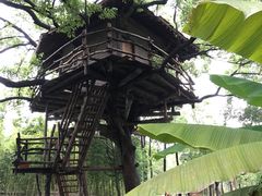 -乌村