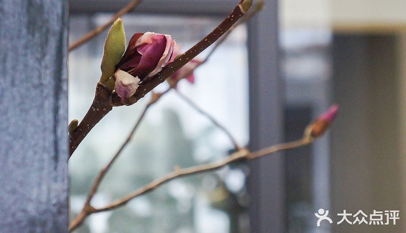 深圳新店｜酷黑工业风和可爱的螃蟹logo