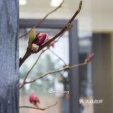 深圳新店｜酷黑工业风和可爱的螃蟹logo