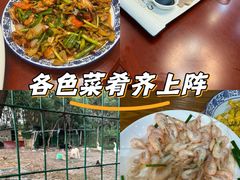 -呼吸森林·生态农庄农家乐私房菜