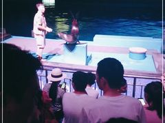 -南昌融创海世界