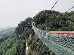 -梦幻奥陶纪景区