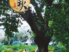 -沙河三洞古桥公园