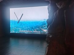 -抚顺煤矿博物馆