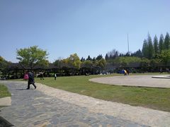 -崇明东平国家森林公园烧烤房车露营地