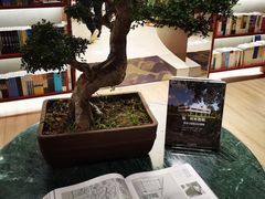 -二酉书店TOYOU BOOKS