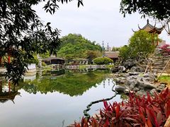 -顺峰山公园