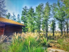 -上海长兴岛郊野公园