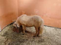 -Zoolung Zoolung动物主题公园(海信广场店)