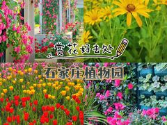 -石家庄市植物园