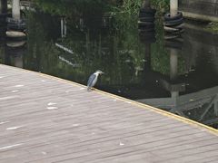 -兰溪青年公园