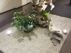 -梅花香里大酒店(郁金香路店)