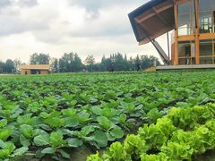 -中国天府农业博览园