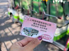 -上海海湾国家森林公园