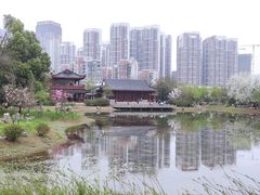 -堤角公园