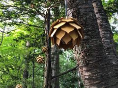 -轻井泽高原教堂