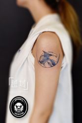 -越域刺青