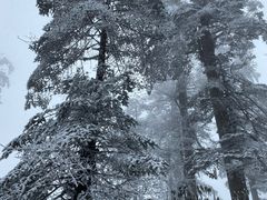 -瓦屋山景区