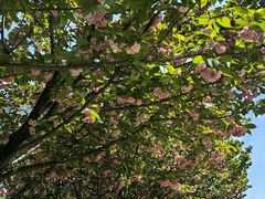 -真爱年华水疗健康运动中心(朱雀大街店)