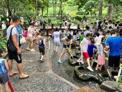 -成都市活水公园