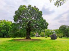 -东湖落雁景区