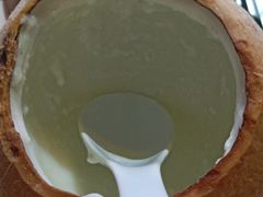 -探窝·竹笙椰子鸡(杨箕店)