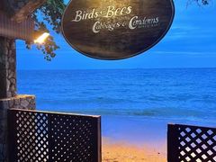 -卷心菜和避孕套餐厅(Pattaya)