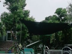 -长廊欢乐园
