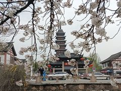 -常熟方塔园