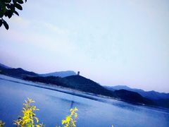 -望湖烤鱼