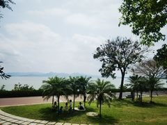 -深圳湾公园(南山区)