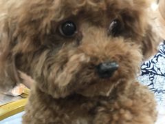 -青蓬量贩式KTV