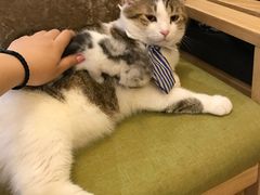 -万小咖.猫咖(中山路天虹店)