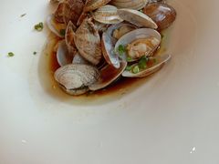 花蛤-骏莱海鲜鱼港(五角场店)