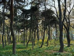 -长春市南湖公园