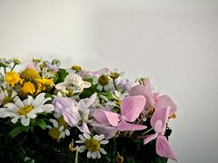 -橙呦·私人定制生日蛋糕