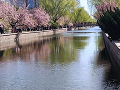 -元大都城垣遗址公园