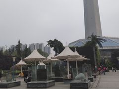 -陕西自然博物馆