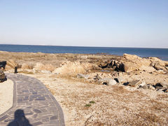 -刘家湾赶海园