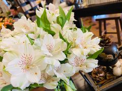 -良友书坊(安徽路店)
