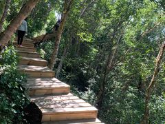 -白草畔自然风景区