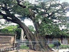 -仓颉庙