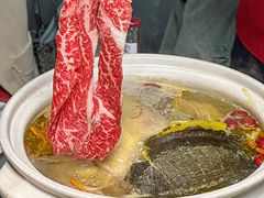 -金龙·打边炉(南京西路店)