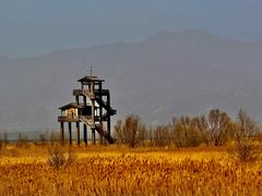 -野鸭湖国家湿地公园