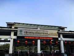 -中国科学院西双版纳热带植物园