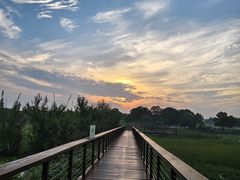 -东湖落雁景区