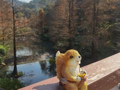 -云溪植物园