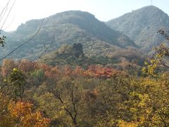 -阳台山自然风景区