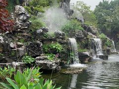 -顺峰山公园