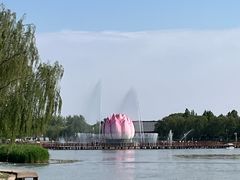-白洋淀景区
